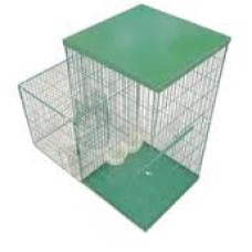 MINI MAGNET - Myna Bird Trap