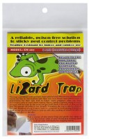 Lizard Trap - Non Toxic (3 Packs of 4) - Ideal for geckos Lizard Trap - Non Toxic (3 Packs of 4) - Ideal for geckos