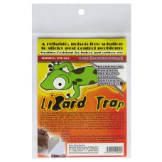 Lizard Trap - Non Toxic (3 Packs of 4)  - Ideal for geckos
