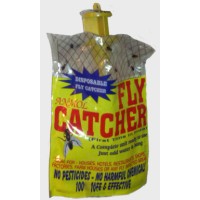 Fly Catcher