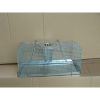 Mouse Trap Multi Catch - Large
