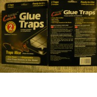Glue Traps - Pk2 Medium (BOX OF 3)