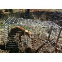 Fox Cage Trap Australian Made CONTACT FOR SHIPPING DETAILS