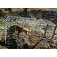 Fox Cage Trap Australian Made CONTACT FOR SHIPPING DETAILS