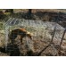 Fox Cage Trap Australian Made CONTACT FOR SHIPPING DETAILS