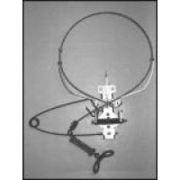 Collarum - Dog Model