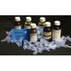 Lure Capsules - Pk 12