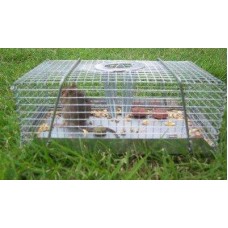 Live Mouse Trap Top Catch - Small